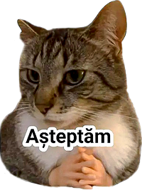 Așteptăm — meme