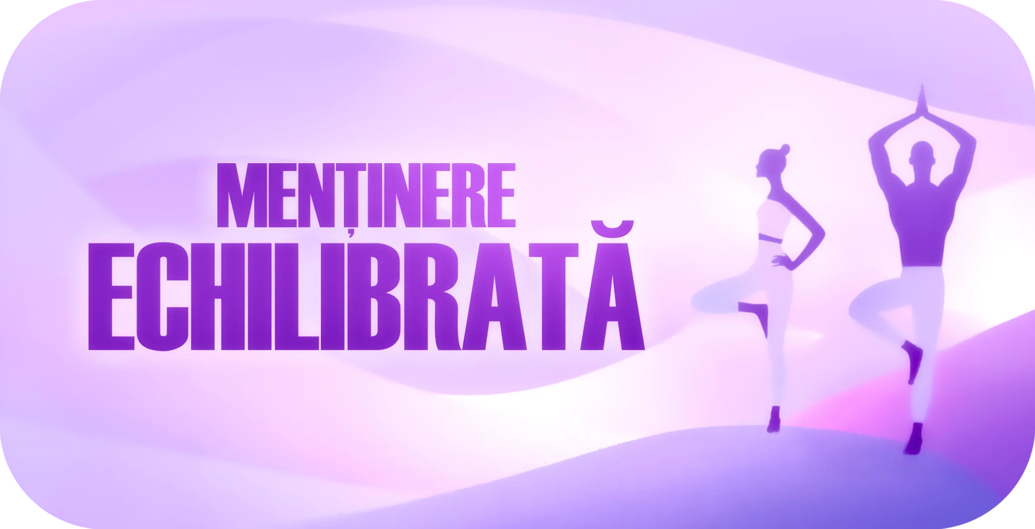 Programul Menținere echilibrată