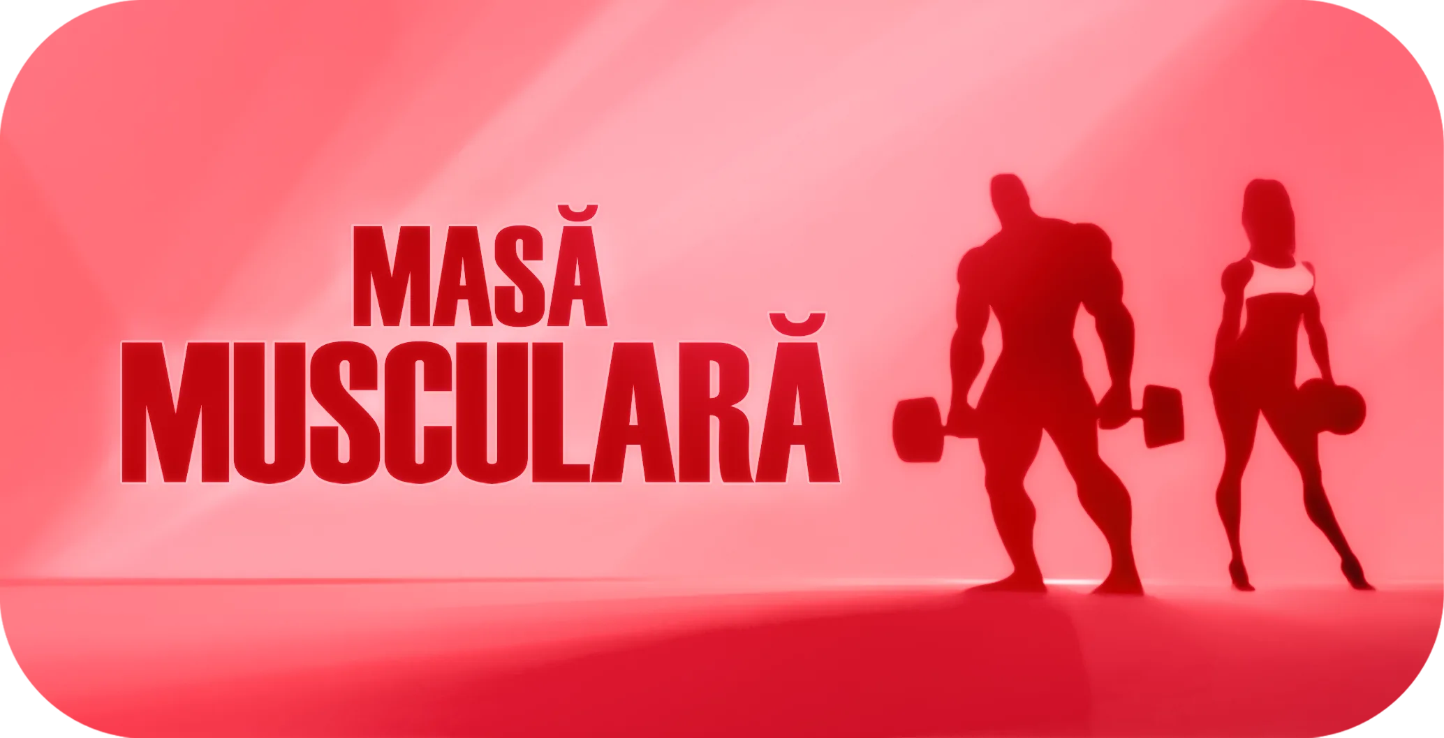 Programul Masă musculară